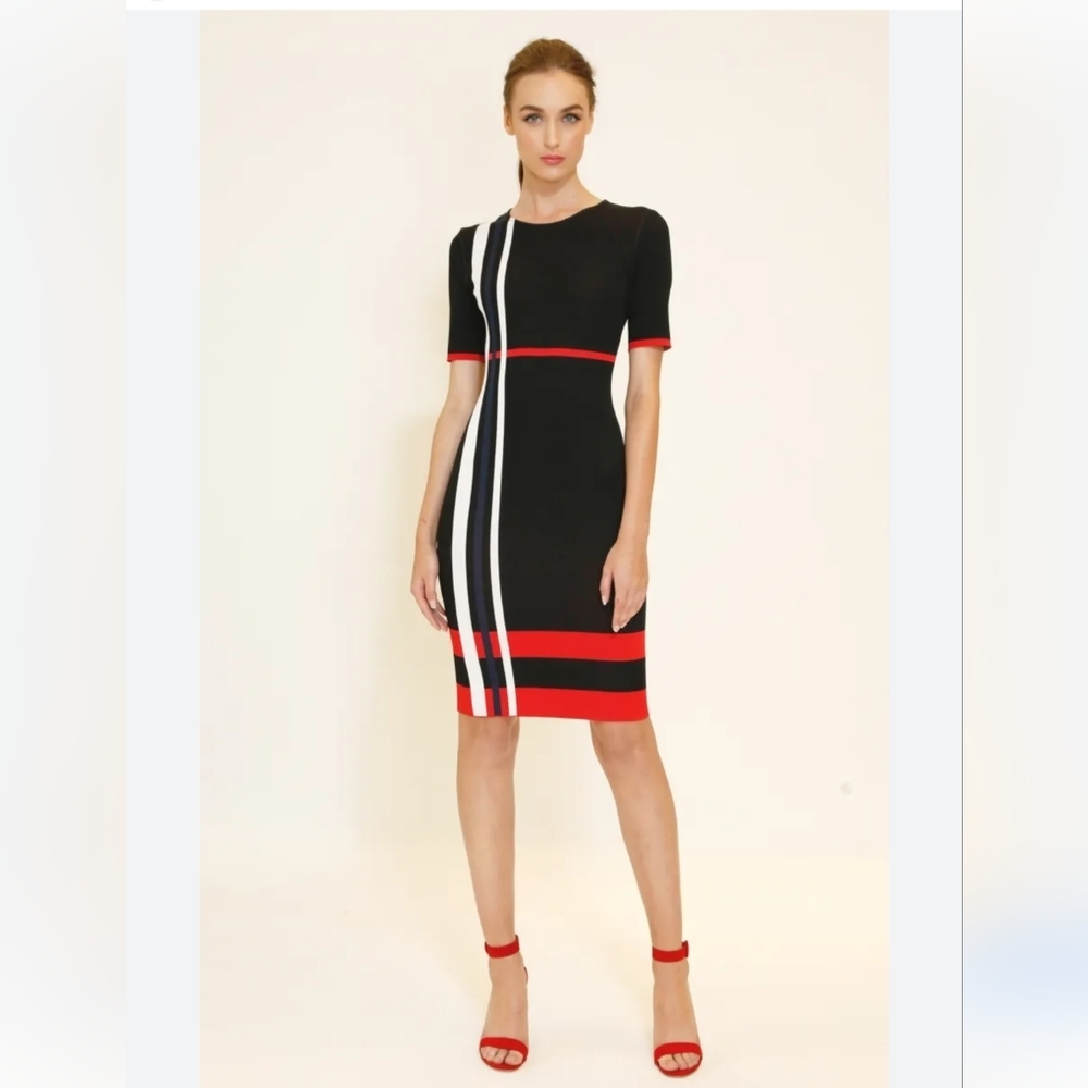 St John Colorblock Dress
